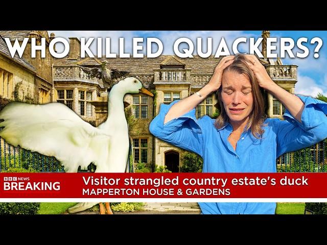 Who Strangled & Killed our Pet Duck?