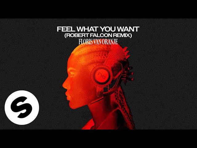 Floris van Oranje - Feel What You Want (Robert Falcon Remix) [Official Audio]