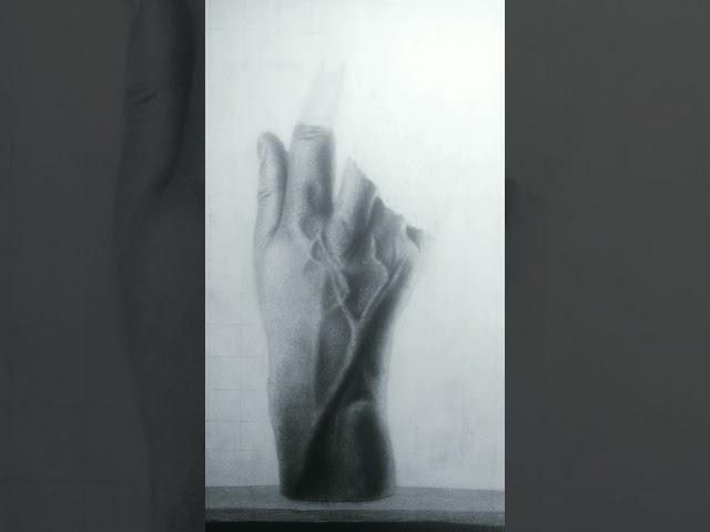 The Art by Artist Yuvraj ||  #art #hyperrealistic #drawing