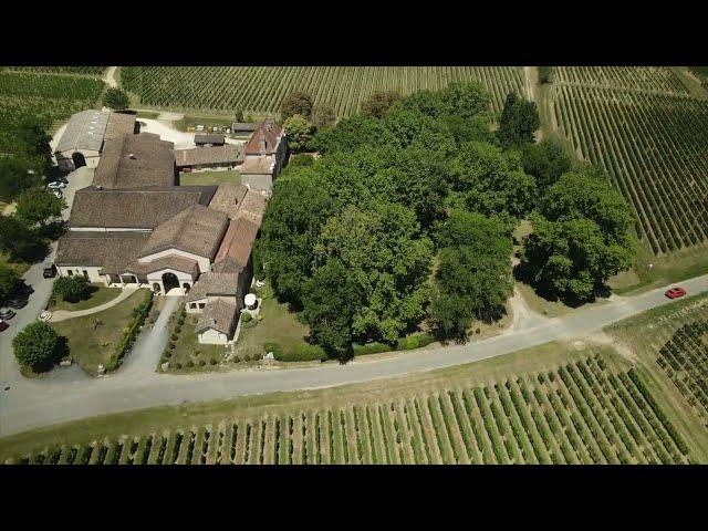 Château MANGOT, SAINT-EMILION GRAND CRU