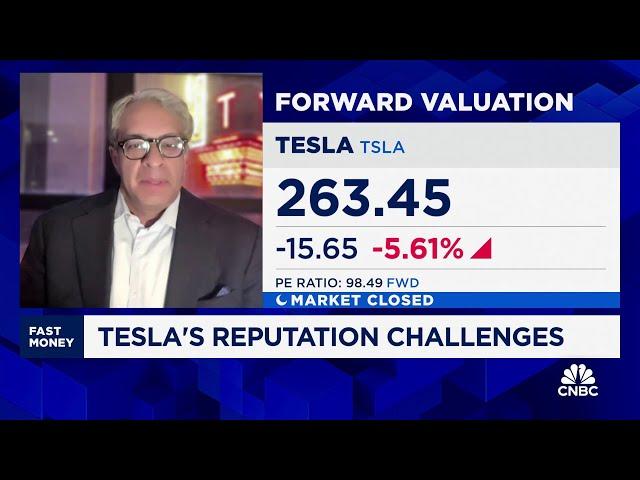 Tesla's reputation in rapid decline, says leadership expert Gautam Mukunda