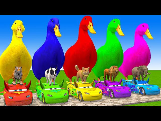 5 Giant Duck Cartoon,Cow,Elephant,Giraffe,Tiger,Lion, Paint Wild Animals Crossing Fountain Animation