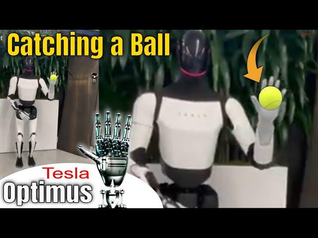 Tesla Optimus Robot Catching a Ball