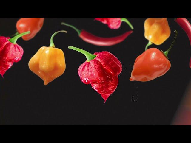 "You Know Your a Hot One!️ | Tempo Networks Hot Ones Caribbean Edition (Promo)"