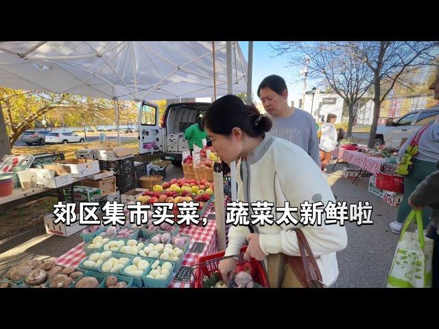 集市食材回家做一锅美食｜记录北美郊区全职主妇慢生活｜去公婆家｜好吃不胖的卤牛腱