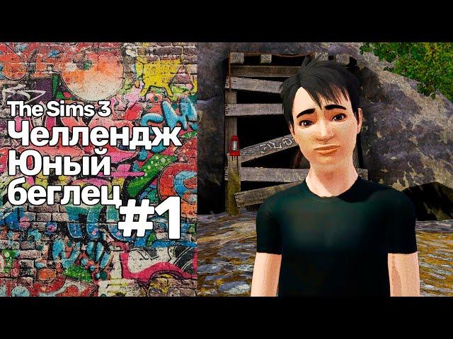 The Sims 3 Юный беглец #1 || Я вышел из леса