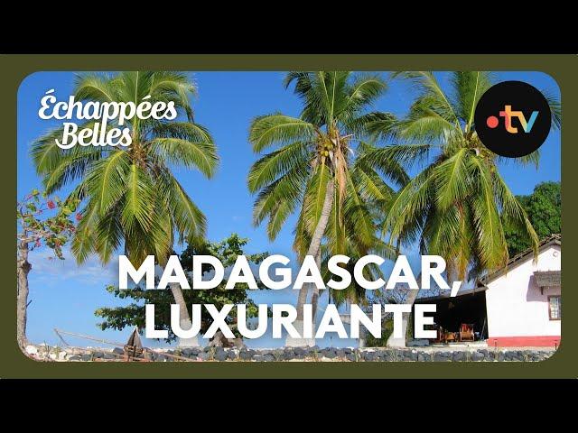 Madagascar, luxuriante et généreuse - Échappées belles