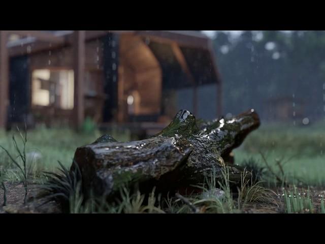 LUMION ARCHITECTURE House Cabin In the Rainy Woods ANimation