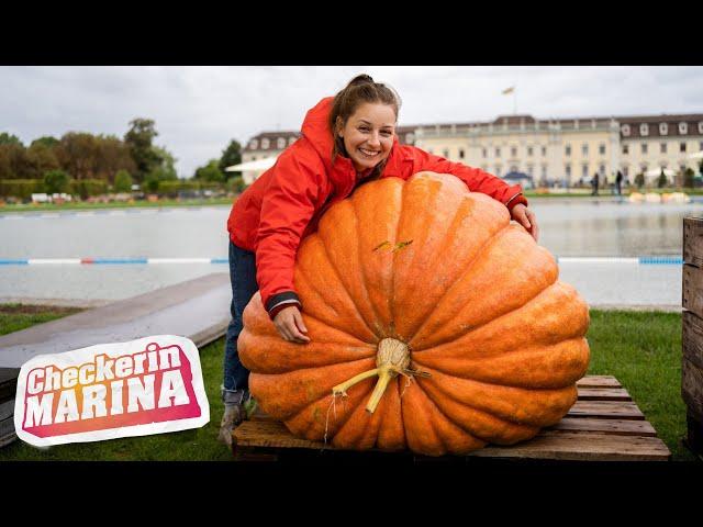 Der Obst-und-Gemüse-Check | Reportage für Kinder | Checkerin Marina