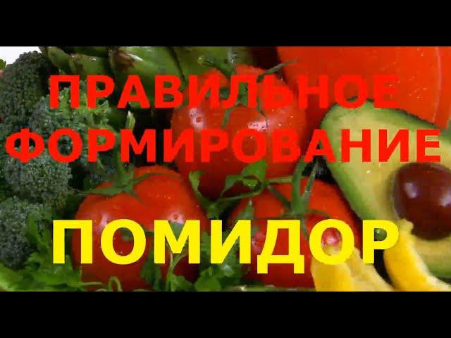 Правильное формирование кустов Помидор (Томатов) + Бонус - маленькие секреты при подвязки.