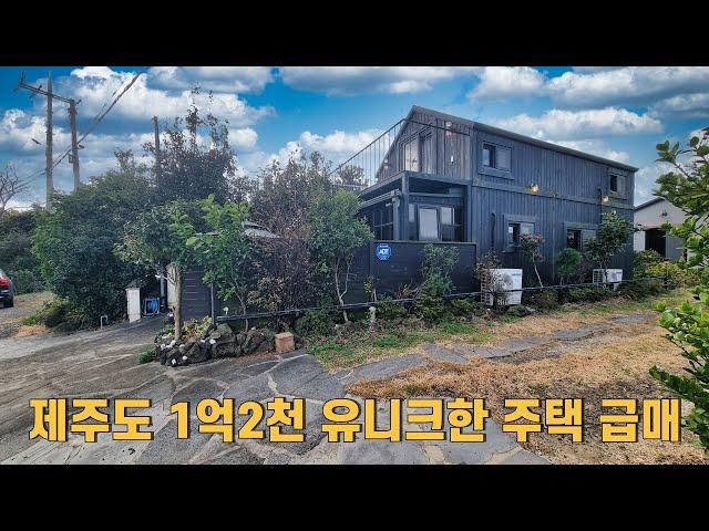 제주도 1억 2천 유니크한 주택 매매, 급매