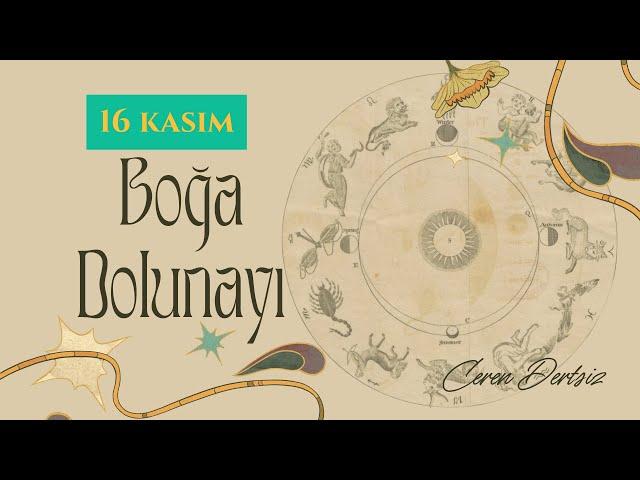 BOĞA BURCUNDA URANUSYEN DOLUNAY | 16 KASIM 2024