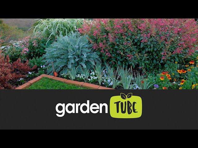 Planting options for your garden