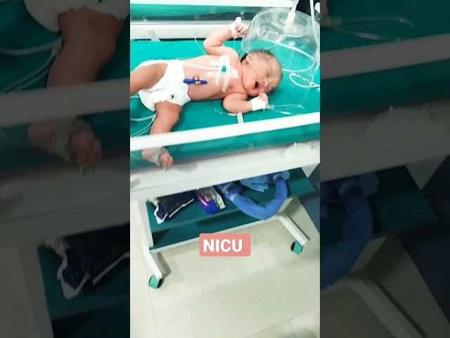 NICU DUTY #nursingstudent #nicubaby #neonates #viral #youtubeshorts #manishsharma