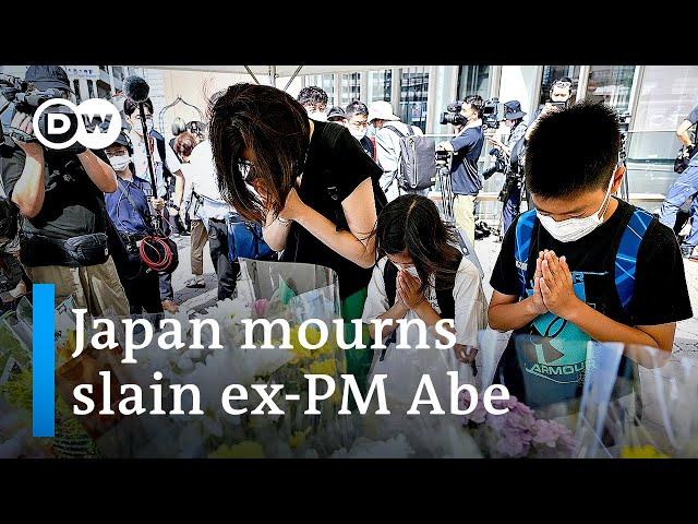 What was the motive for assassination of Japan's ex-PM Abe?