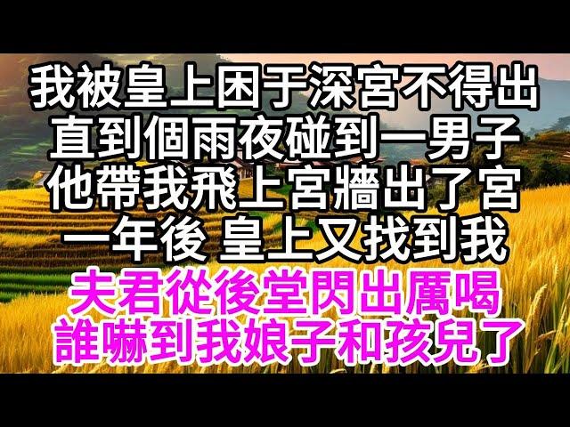 我被皇上困于深宮不得出，直到個雨夜，碰到一男子，他帶我飛上宮牆出了宮，一年後，皇上又找到我，夫君從後堂閃出厲喝，誰嚇到我娘子和孩兒了 【美好人生】