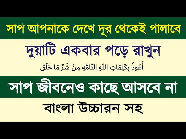 সাপের কামড় থেকে বাঁচার দোয়া | ঘর থেকে সাপ তাড়ানোর দোয়া | সাপ থেকে বাঁচার দোয়া - রাসেল ভাইপার