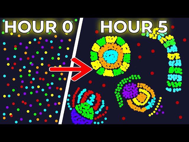 Simulating Particle Life