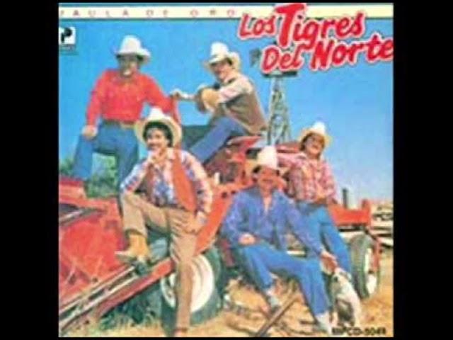 16 Grandes Exitos De Los Tigres Del Norte CD Completo 1988