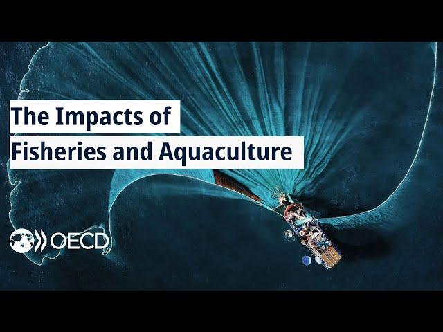 The Impacts of Fisheries and Aquaculture