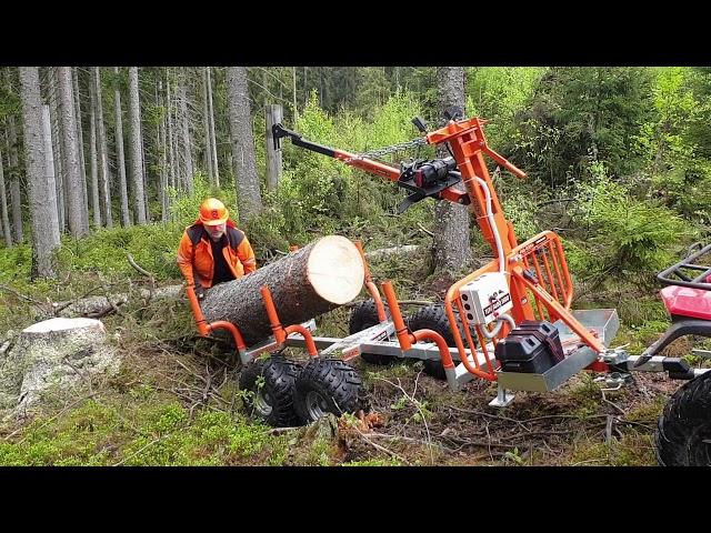 Utkörning av vindfälle