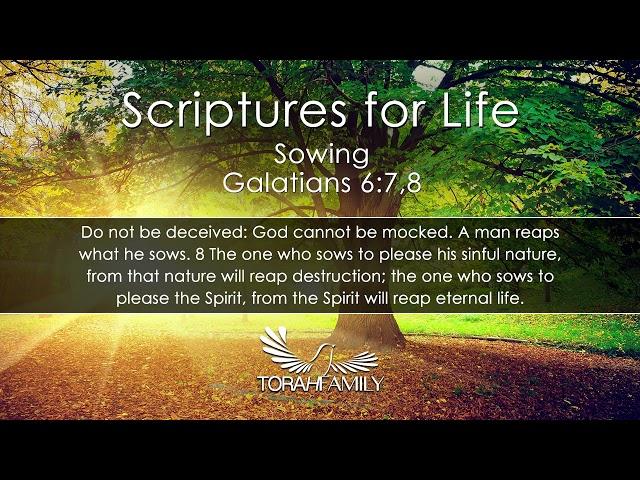 Scriptures for Life | Sowing