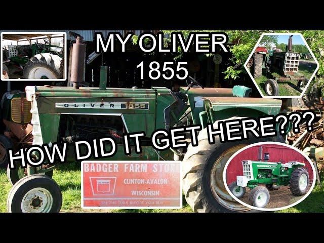 My Oliver 1855 and the BADGER FARM STORE Avalon, WI