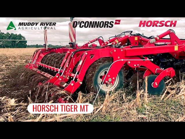 HORSCH TIGER MT DEMO O'CONNORS May 2019 #Tillage #Seeding #Planting