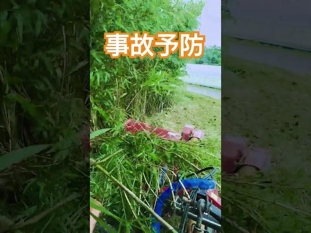 Using a mower to prevent accidents around corners that are hidden by bamboo thickets.