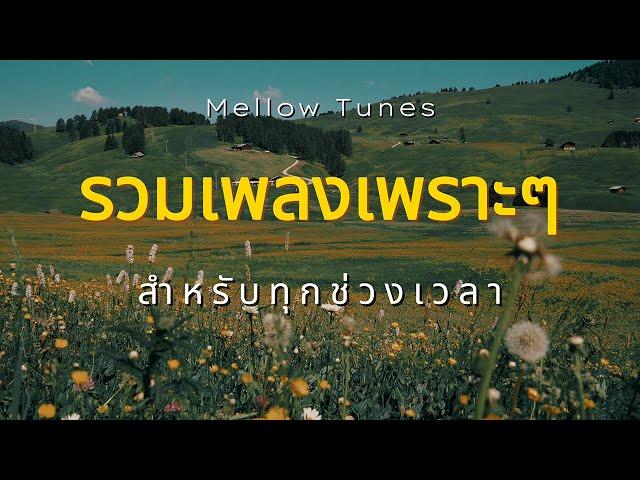 รวมเพลงเพราะๆ สำหรับทุกช่วงเวลา - By Mellow Tunes