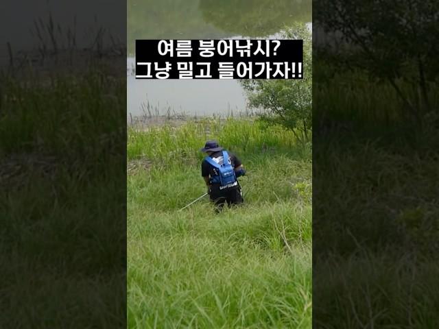 여름 붕어낚시 이젠 두렵지 않습니다!!! #붕어 #붕어낚시#낚시 #민물낚시 #fishing #fish #carpfishing #대물낚시 #예초기#es산업 #생자리 #노지 #작업