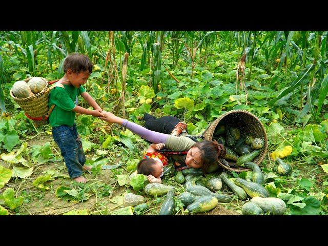 Harvest pumpkins to sell - cook with your children - watch your children grow day by day