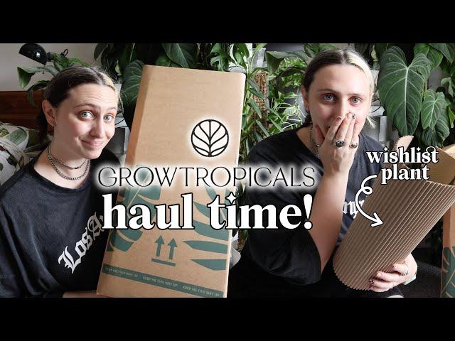 my first proper unboxing haul in over 6 months and it was AMAZING 🪴 Grow Tropicals Haul