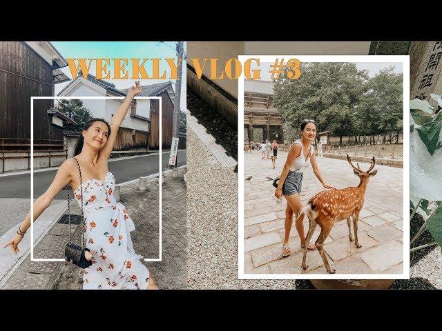 WEEKLY VLOG #3 | japan house tour, getting piercings, feeding deers and more