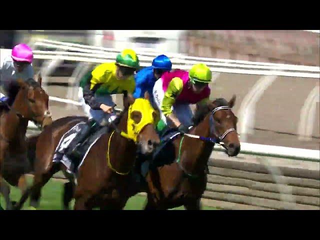 Melbourne Cup 2024 - KNIGHT'S CHOICE (3YO+ Hcp G1) Group 1 Flemington 5 November