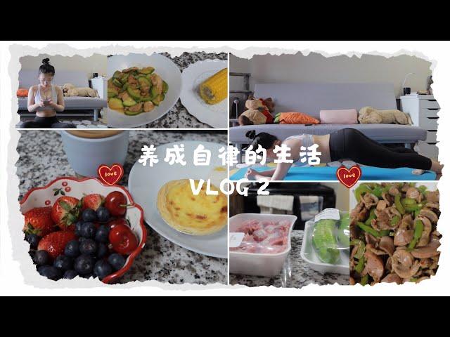 怎样养成自律的生活|如何养成健身锻炼的习惯|一日三餐一人食|超级简单的低卡食谱|除学习以外的生活|vlog2