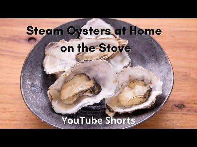 Steam OYSTERS at HOME on the STOVE | How To COOK OYSTERS 