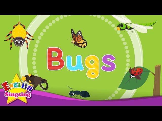 Bugs - Kids vocabulary - Learn English for kids - English educational video
