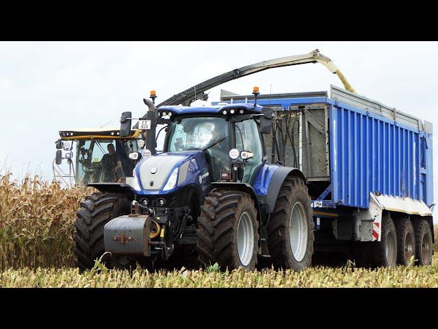 Mais 2024!  | New Holland FR920 + New Holland & Fendt Tractors | Corn Silage - Mais Silage