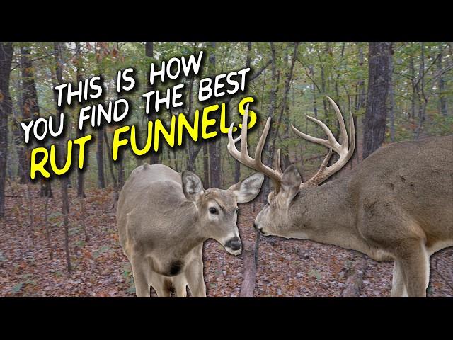 THIS is what to look for when scouting rut funnels for bowhunting mature whitetail bucks!