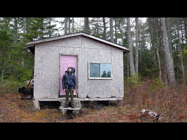 Overnight in an Abandoned Cabin / Roof Repairs and Ladder Build