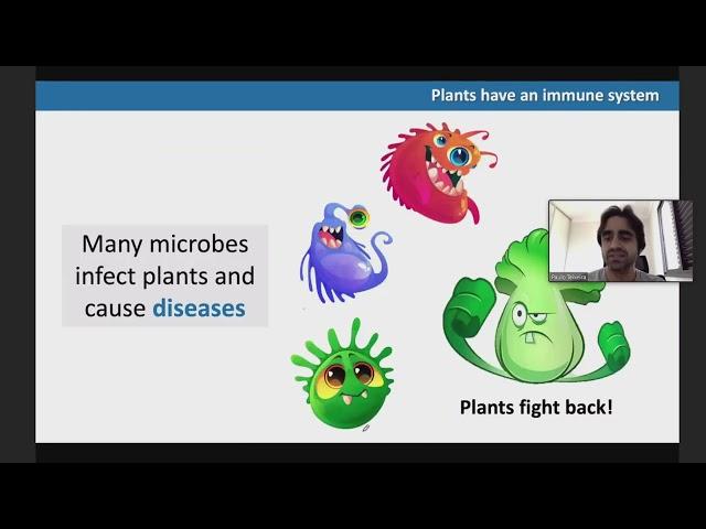 QBio Program: Paulo Teixeira: Microbiota interactions with the plant immune system