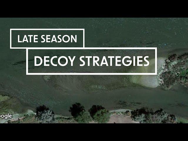 Public Land DUCK Decoy strategies ON WATER! | Late season