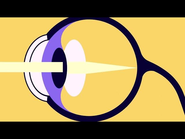 The Visual System: How Your Eyes Work