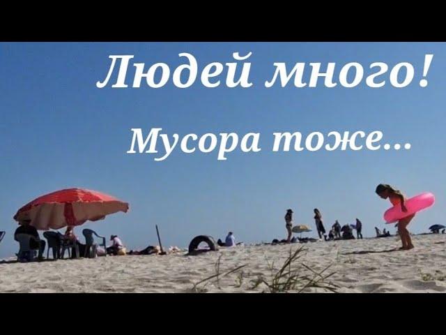 Приморское. ПЛЯЖ. 29.08.23. Давно такого не видела! Рассмешил и удивил...