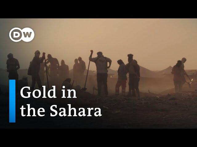 Gold rush in Mauritania | DW Documentary