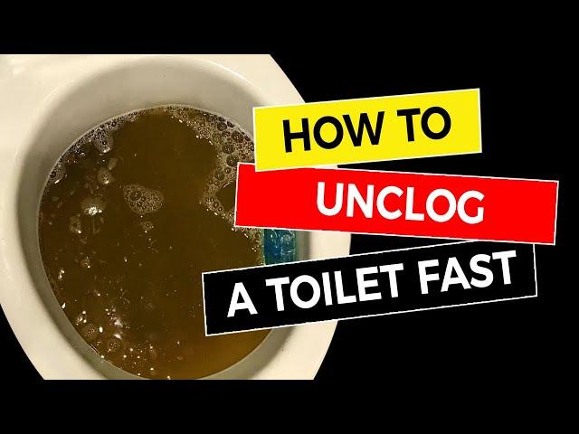 How to Unclog a Toilet Fast 