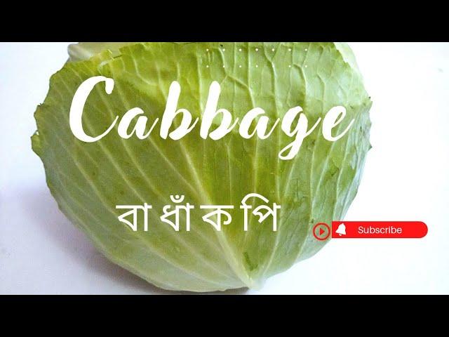 বাধাঁকপির রোল/Do you have cabbage at home?/Cabbage Rolls Recipe.