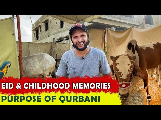 EID & childhood memories | purpose of qurbani | Shahid Afridi