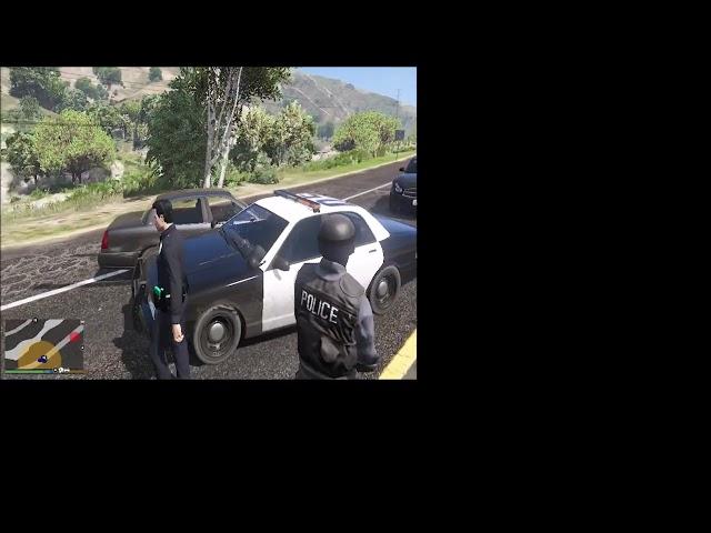 GTA V LSPDFR Episode 1 #lspdfr #gta5 #EricksGameDisplay #OfficerEricksGameDisplay